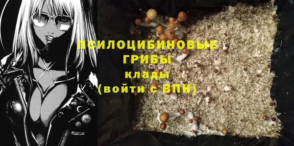 спиды Алексеевка