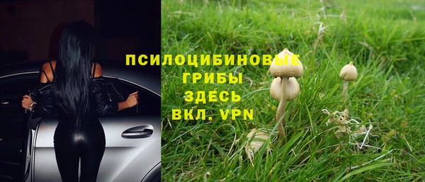 ALPHA-PVP Новозыбков
