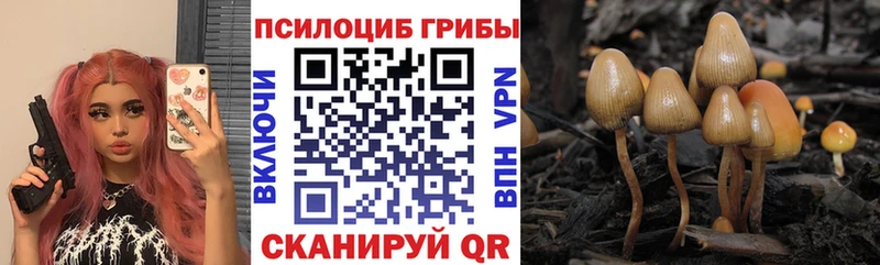 Псилоцибиновые грибы MAGIC MUSHROOMS  MEGA онион  Поронайск 